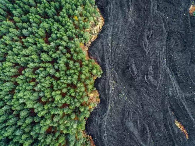 熔岩和森林彼此相邻。 Lava and forest next to each other.